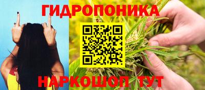 прущие крисы Кулебаки